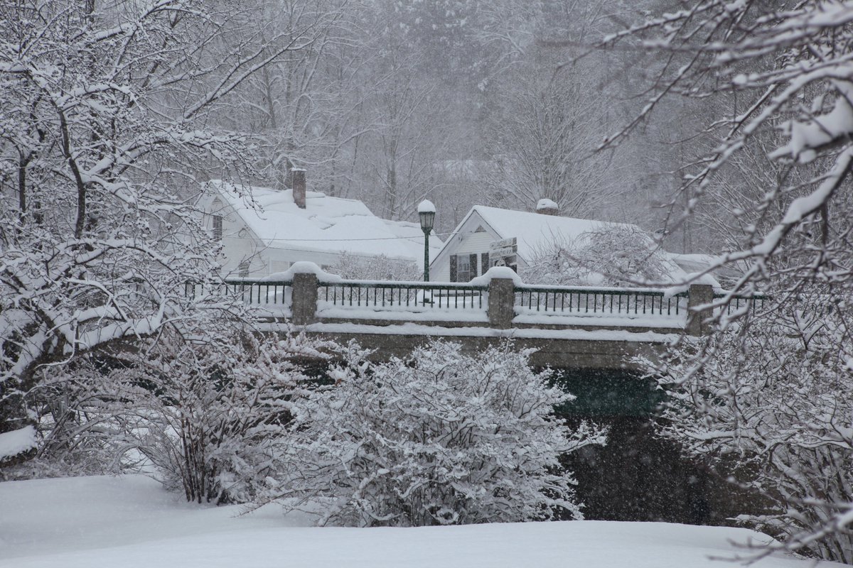 Mokke Nene 💛💜 🐇🐺 tweet media