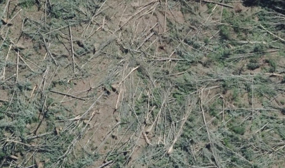 SRRadarLoops tweet media