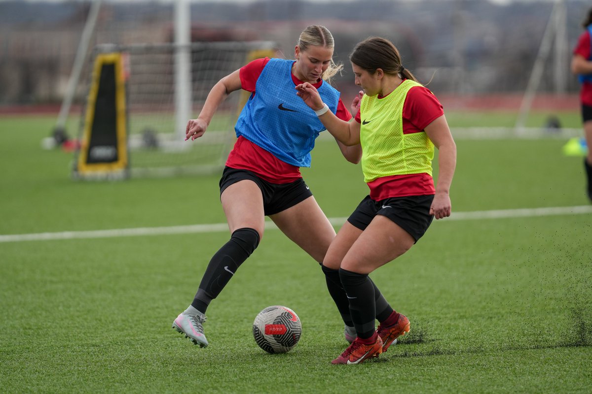 YSU Women's Soccer🐧 tweet media