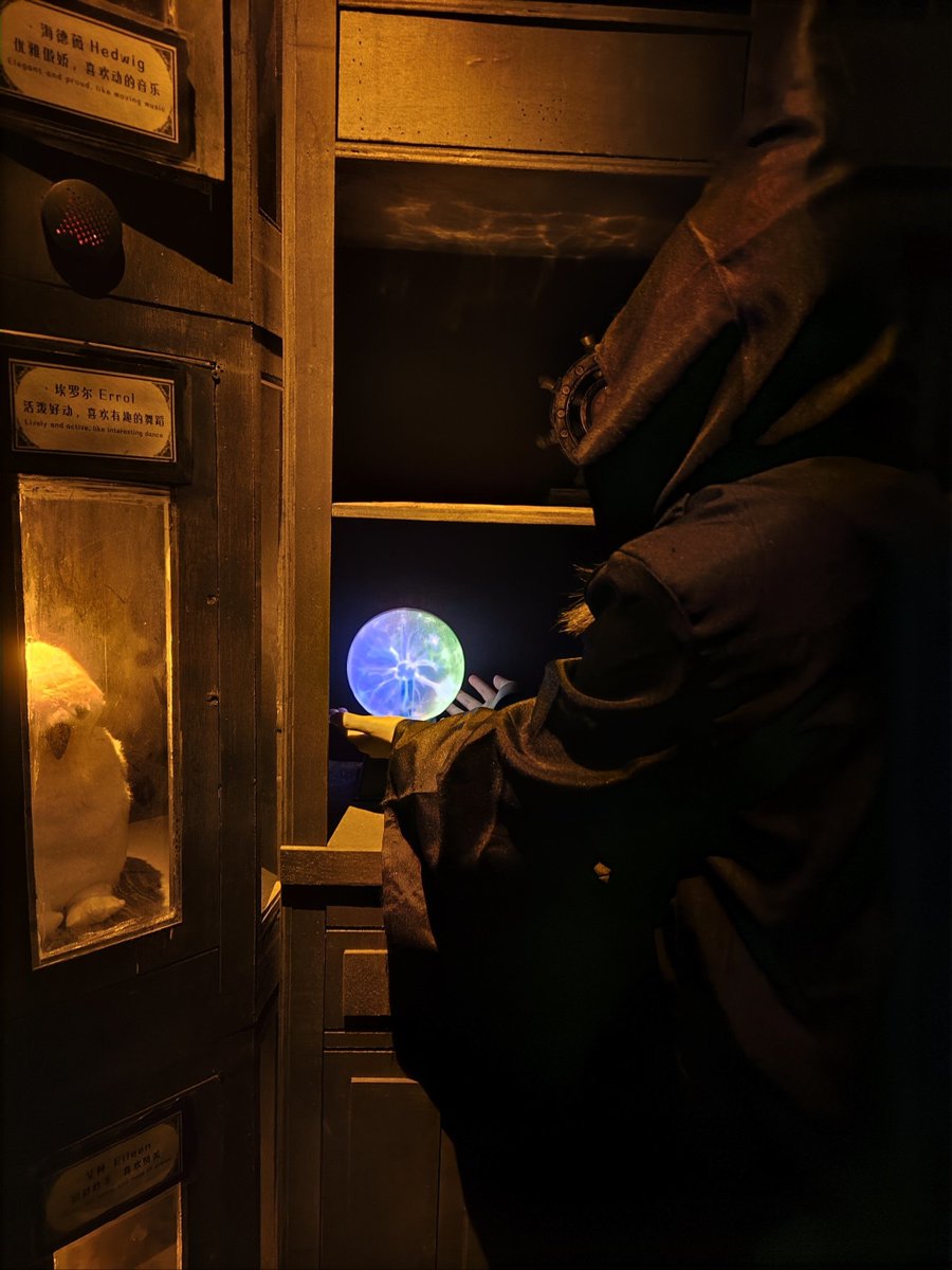 Adrianna Santowska tweet media