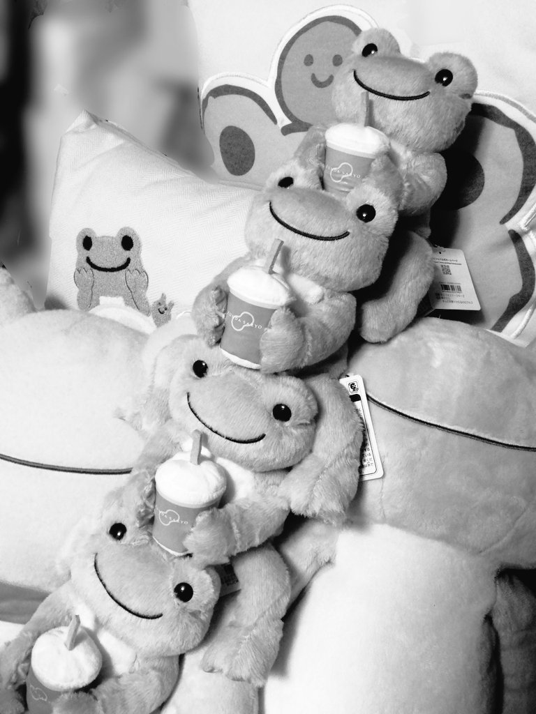 みしょとばびゅーんwithとらきち tweet media