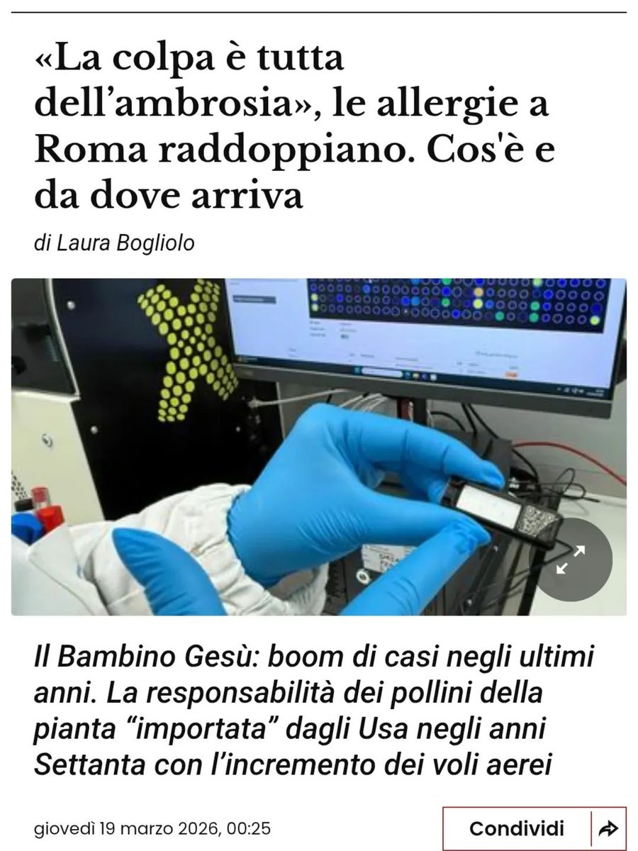 Anna 🪄⚡ tweet media