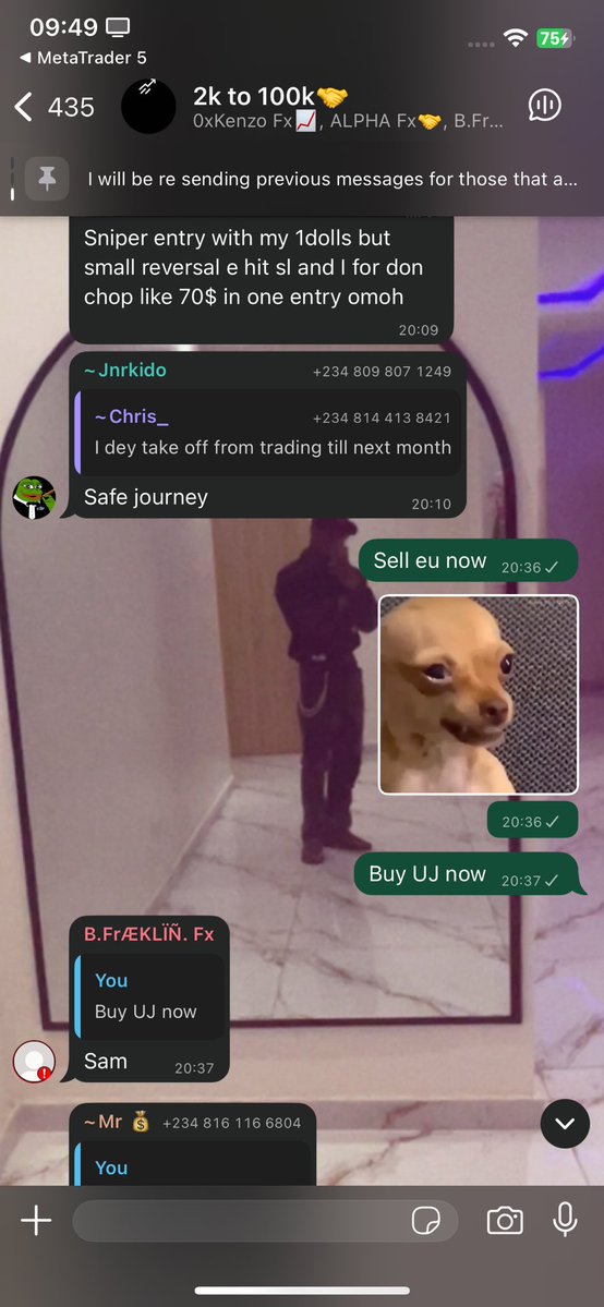 MartinsFx tweet media