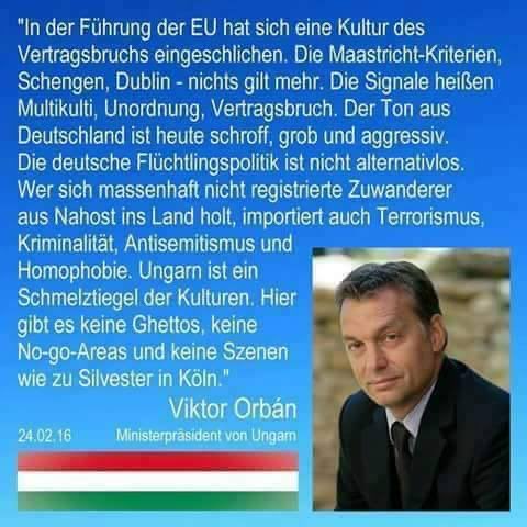 Graukopf tweet media