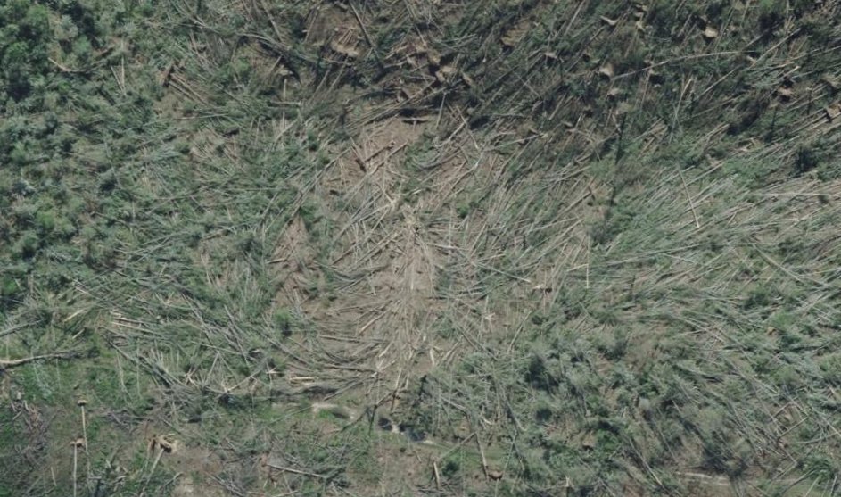 SRRadarLoops tweet media