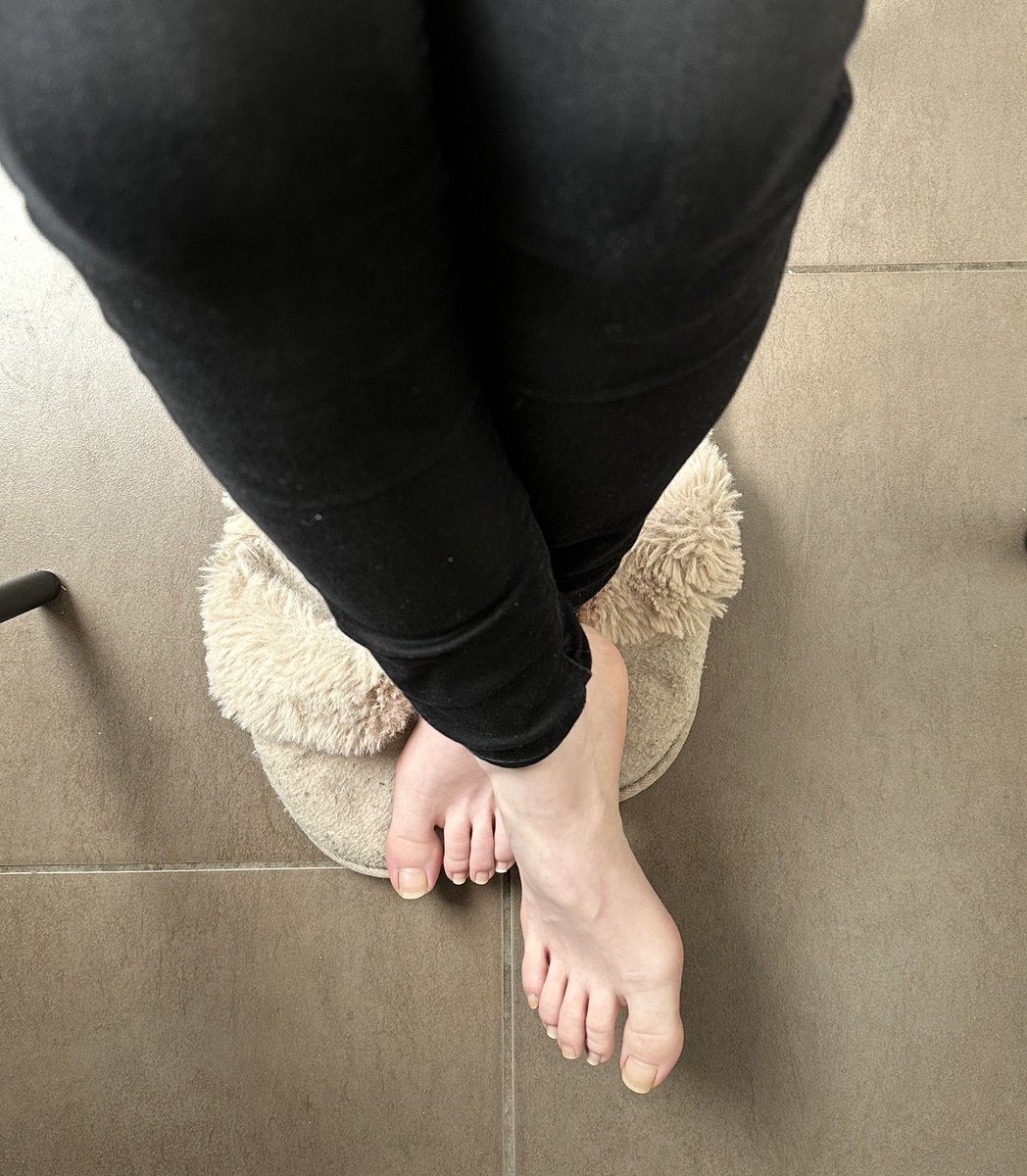 Herrin Badbunny tweet media