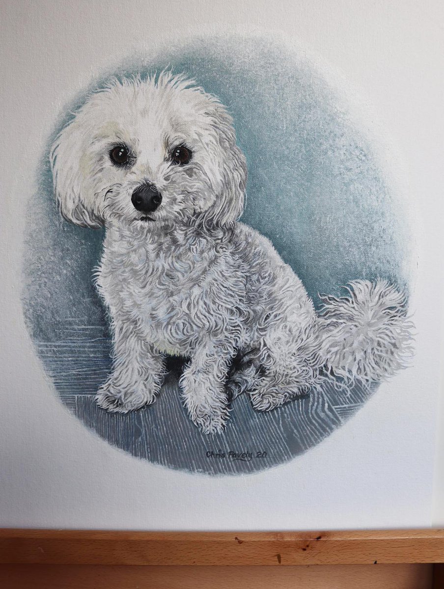 FenBeagle tweet media