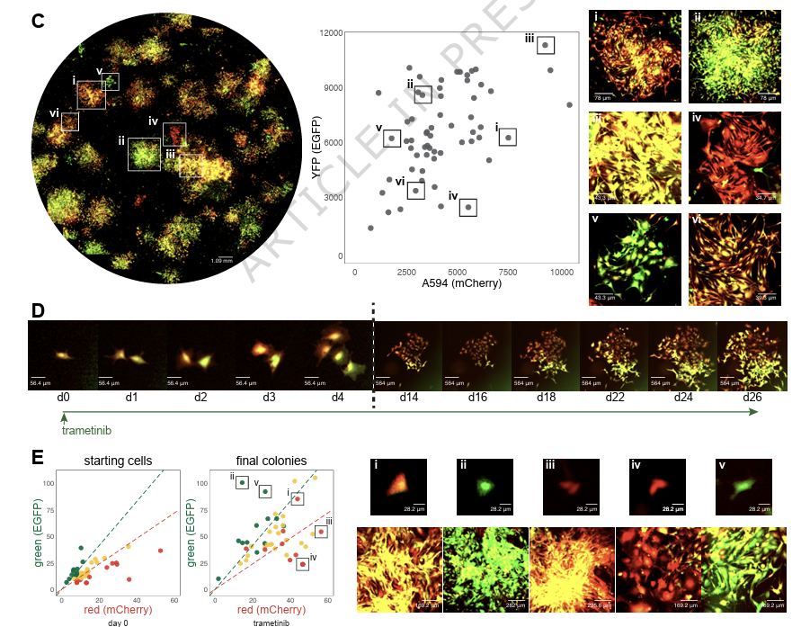 Waggoner Lab tweet media