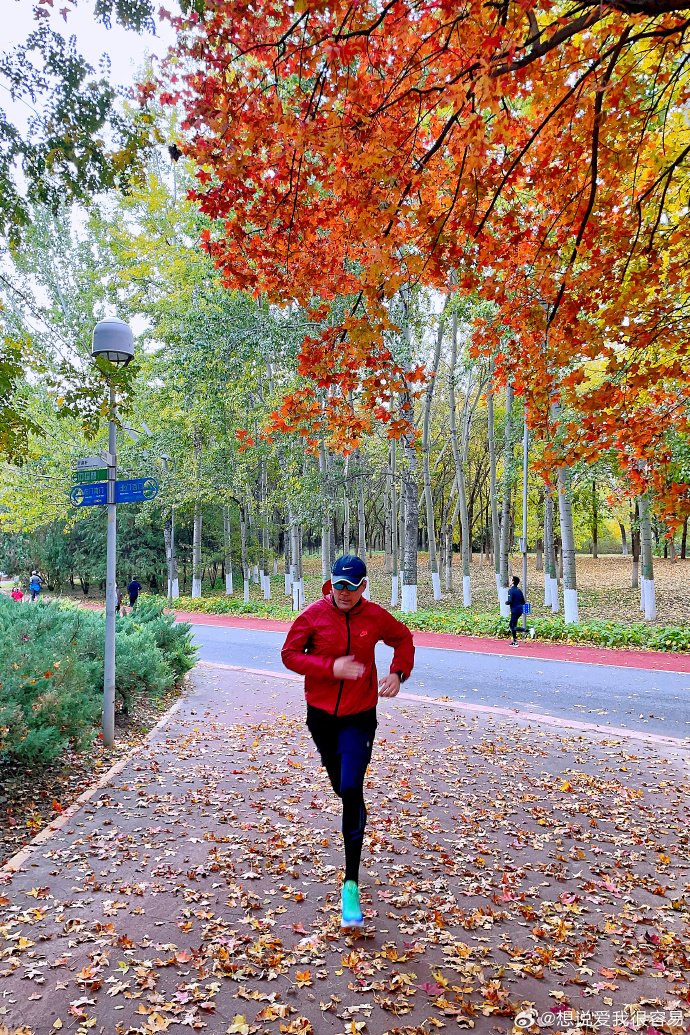 Shawn Mendes tweet media