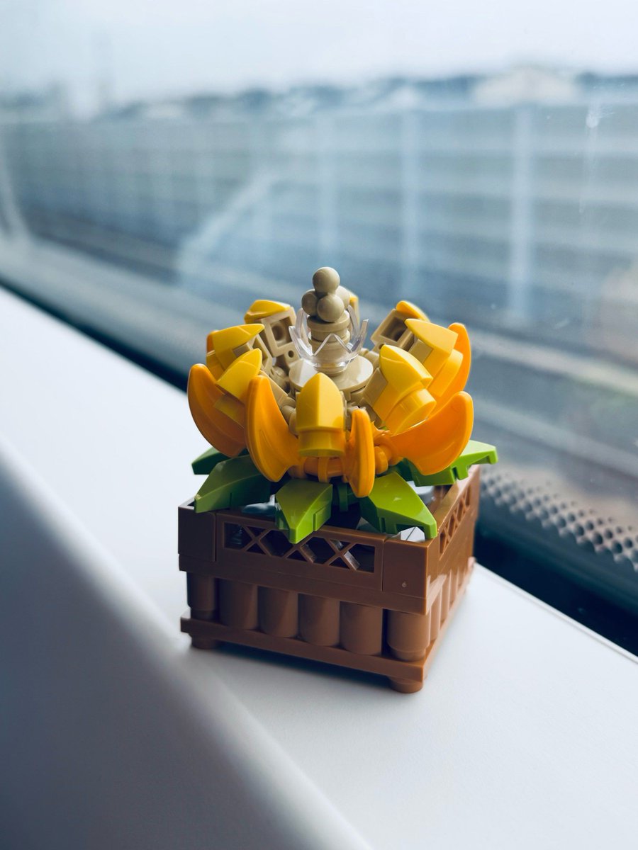 Doctor Suicide tweet media