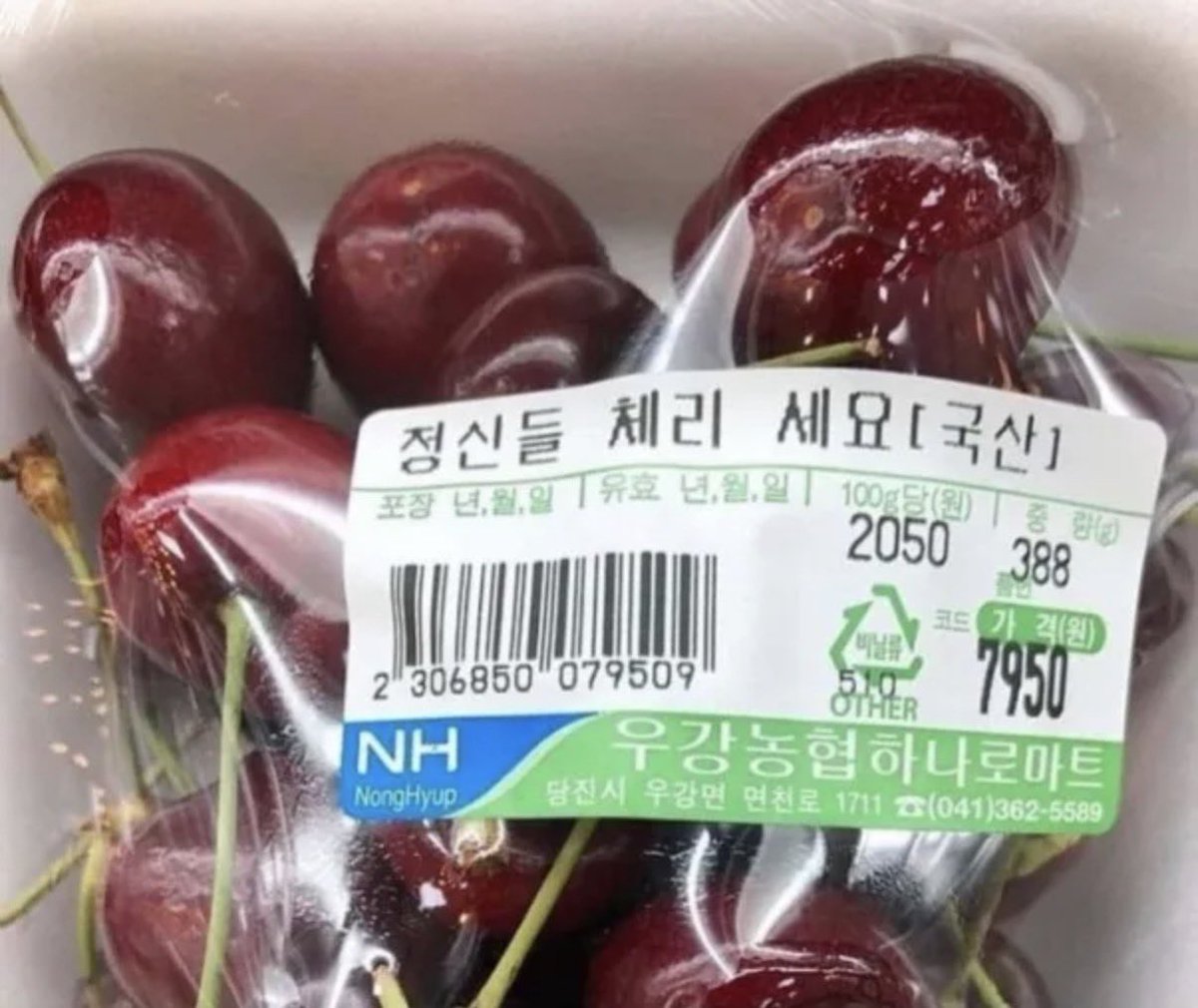 BoilerIee tweet media