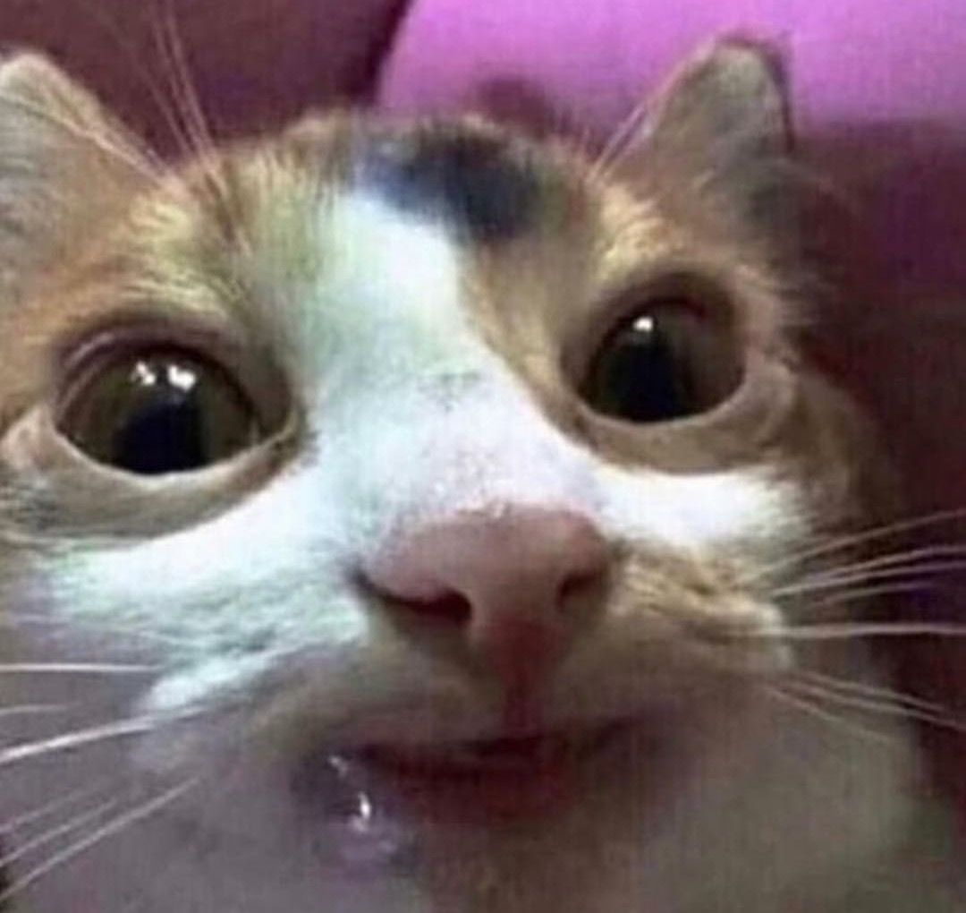 Spring Flowers Jelly tweet media