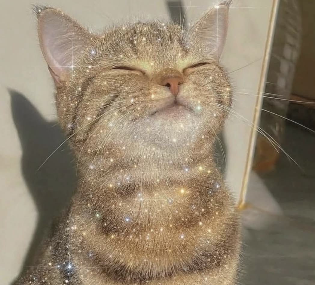 The Shiloh Ritual ♄ 🪬 tweet media