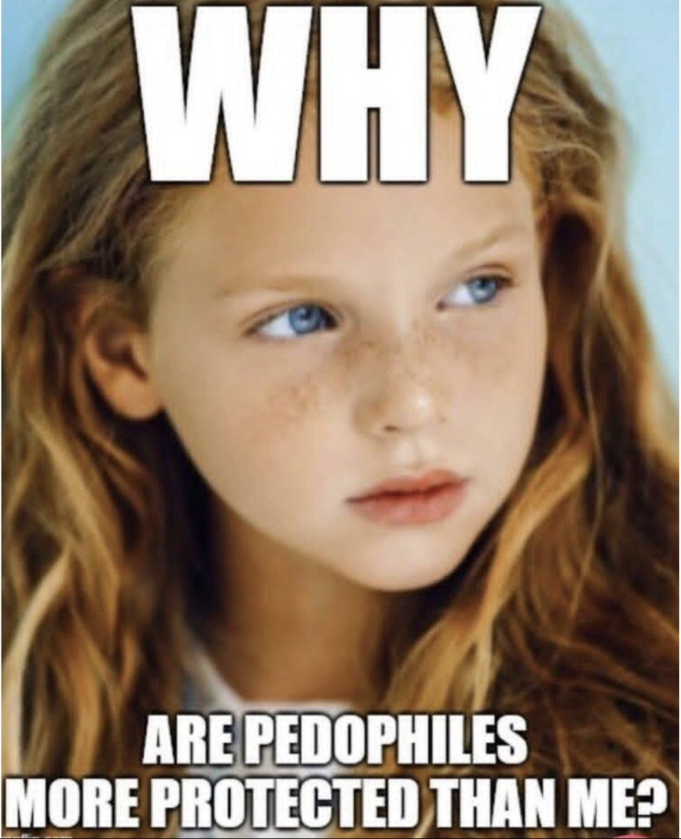 Mr GLENZILLA tweet media