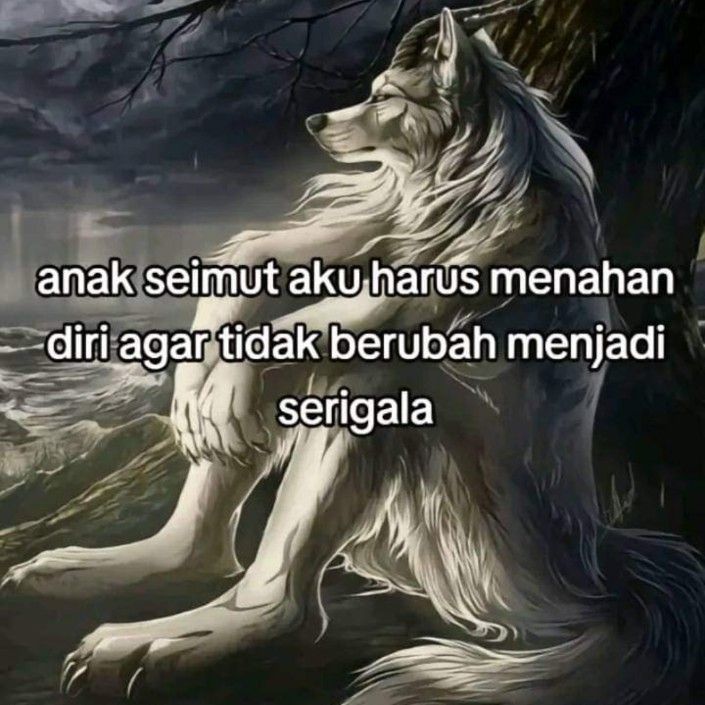 Info tim ggs broo, pengen banget nih jadi serigala
