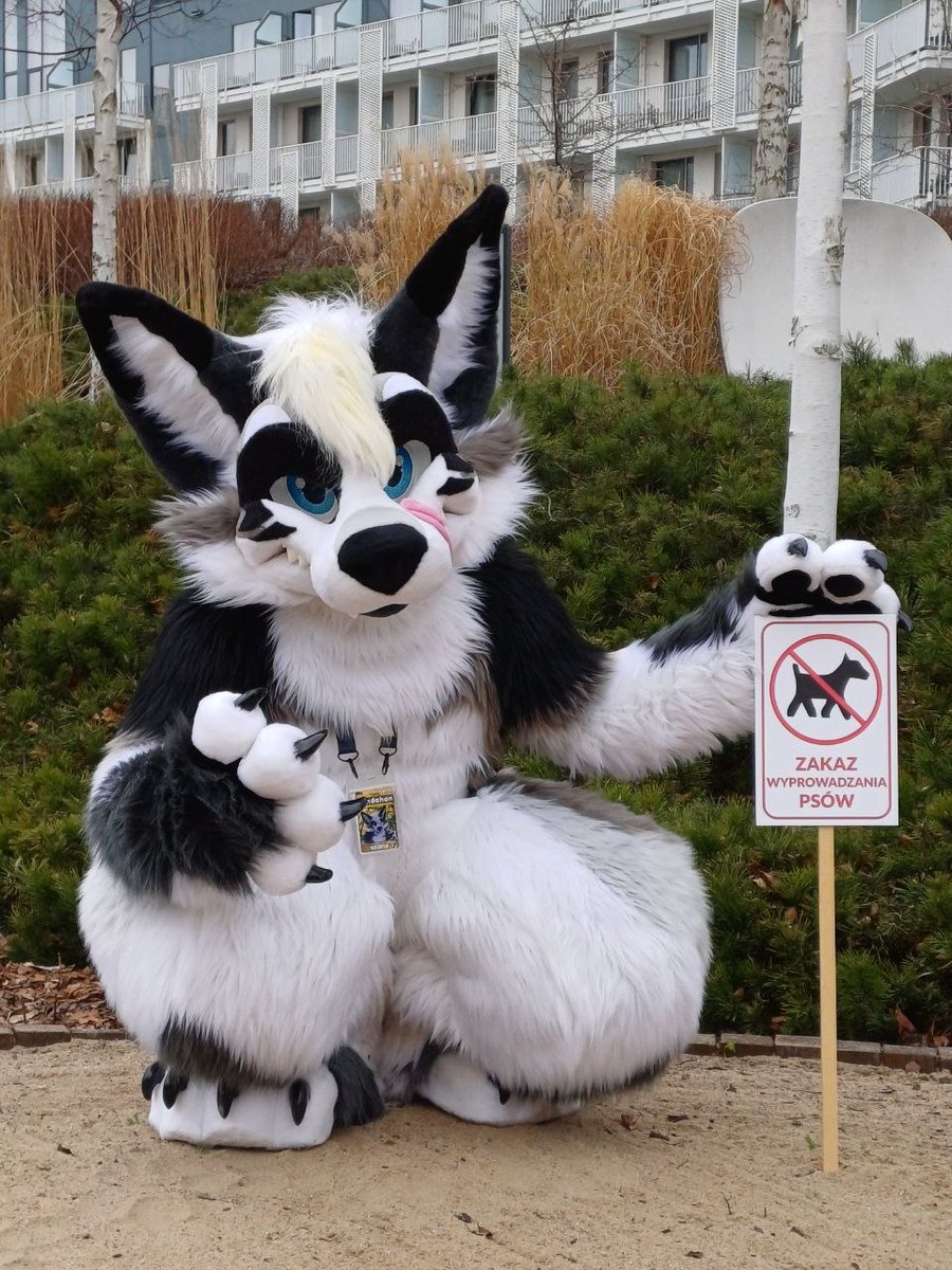 Candahan 🔜 Gdakon tweet media