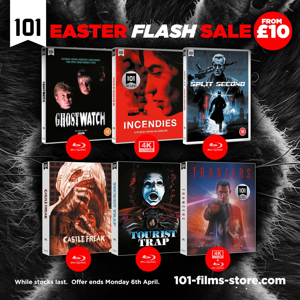 101 Films tweet media