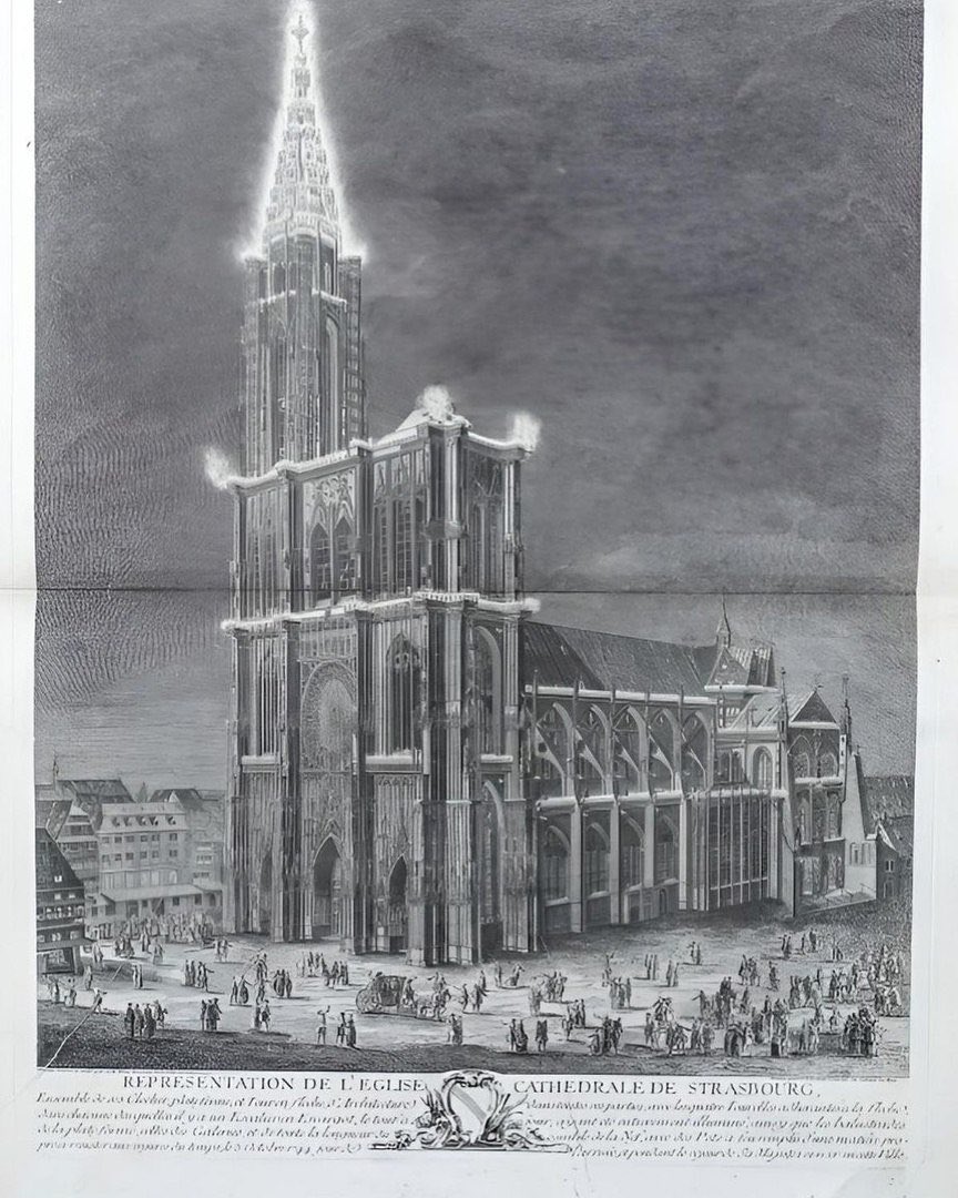 MAVERICK X tweet media