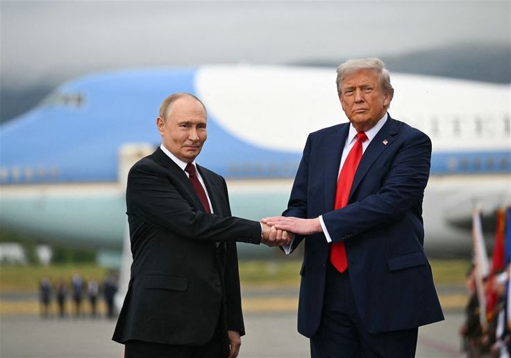 Crypto Rover tweet media