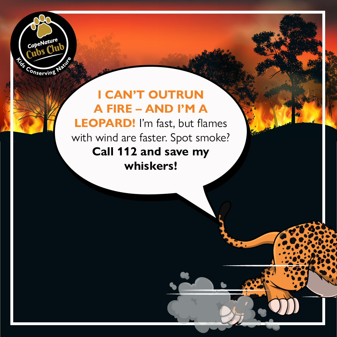 CapeNature1's tweet image. 🔥 I CAN'T OUTRUN A FIRE — AND I'M A LEOPARD! I'm fast, but flames with wind are faster. Spot smoke? Call 112 and save my whiskers!

#CapeNature #FireFridays #FireSafety #WildfireAwareness #KaiandFriends #KaiCapeNature #CubsClub #CapeNatureCubs