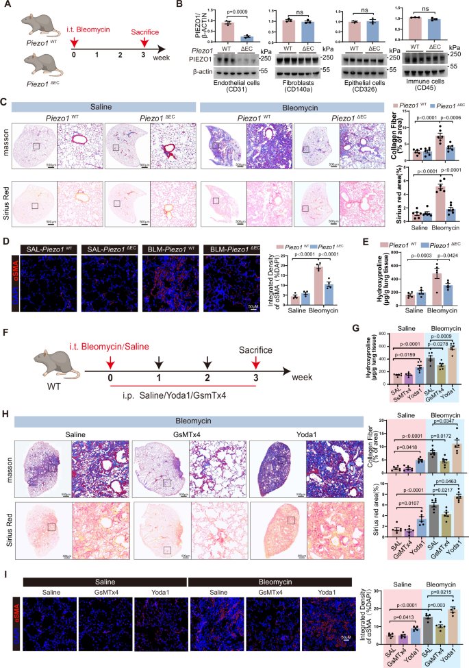 Waggoner Lab tweet media