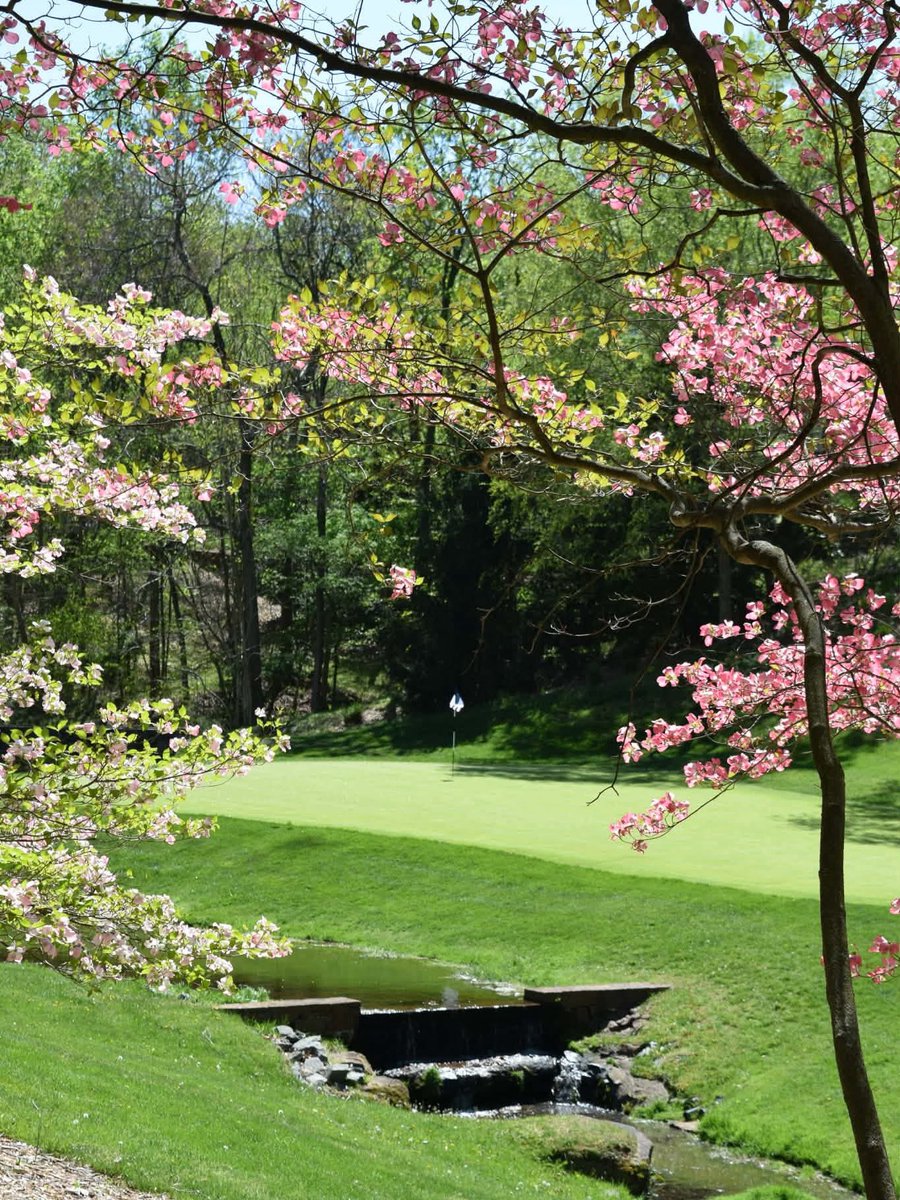 Trump Washington DC tweet media