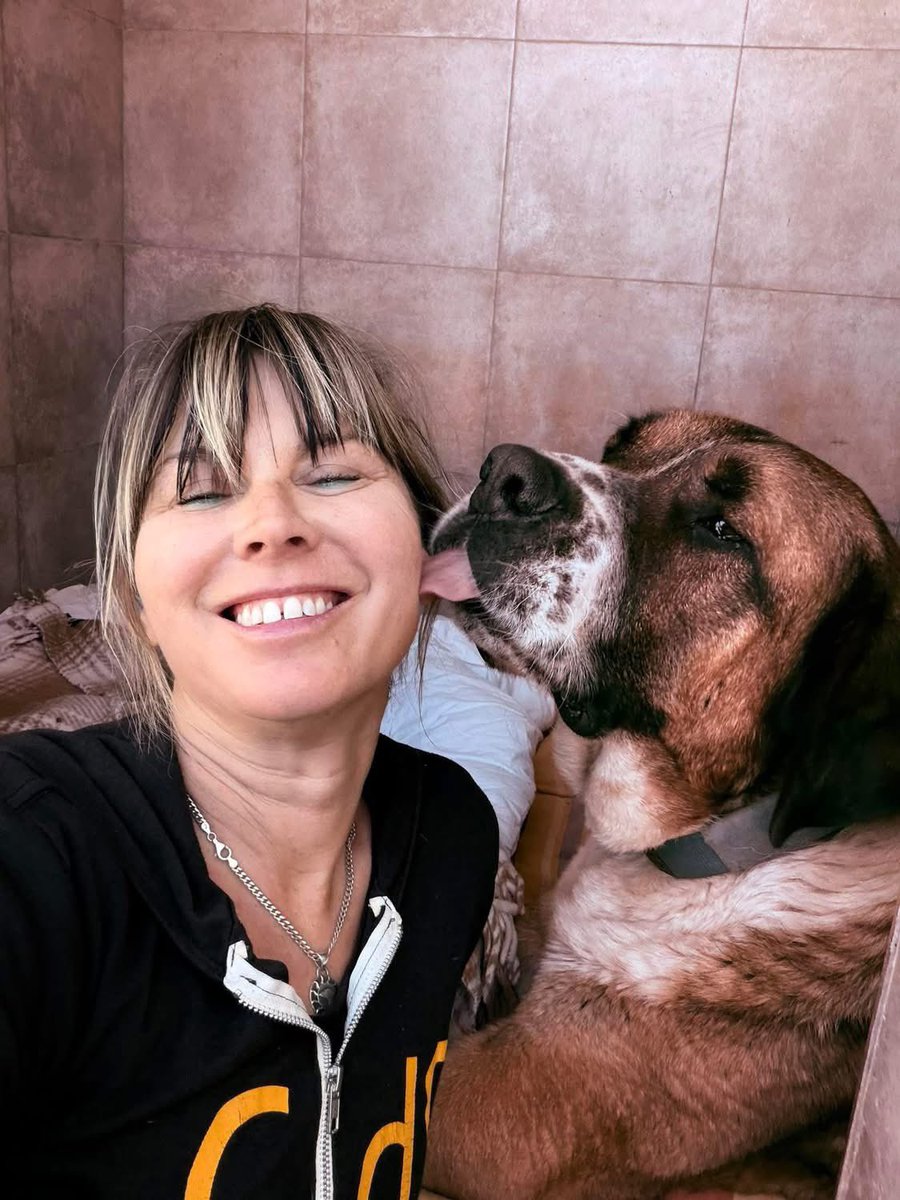 Galgos del Sol tweet media