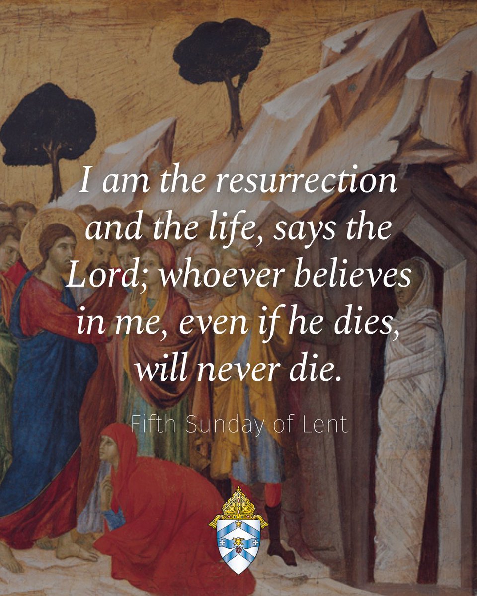 Diocese of Austin tweet media