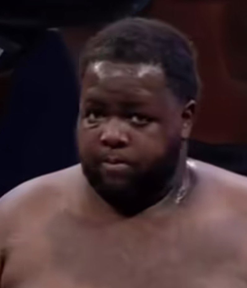 zturtleaim tweet media