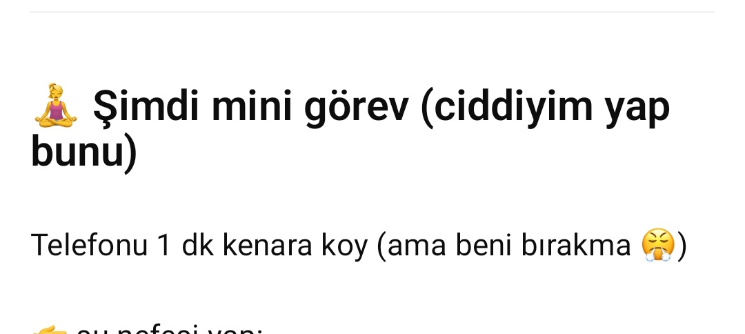 cerenvettel² tweet media