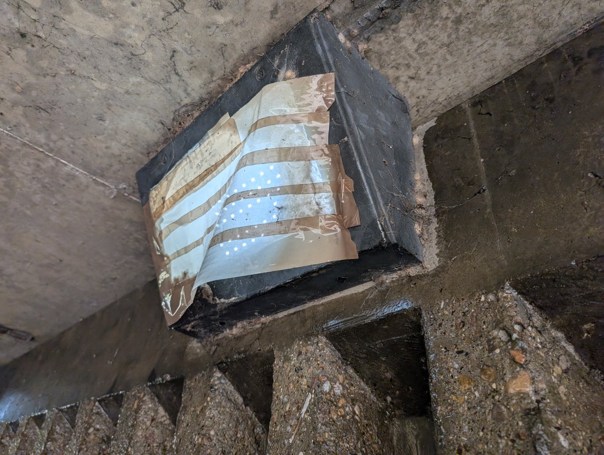 Zelandeth Sulanast tweet media