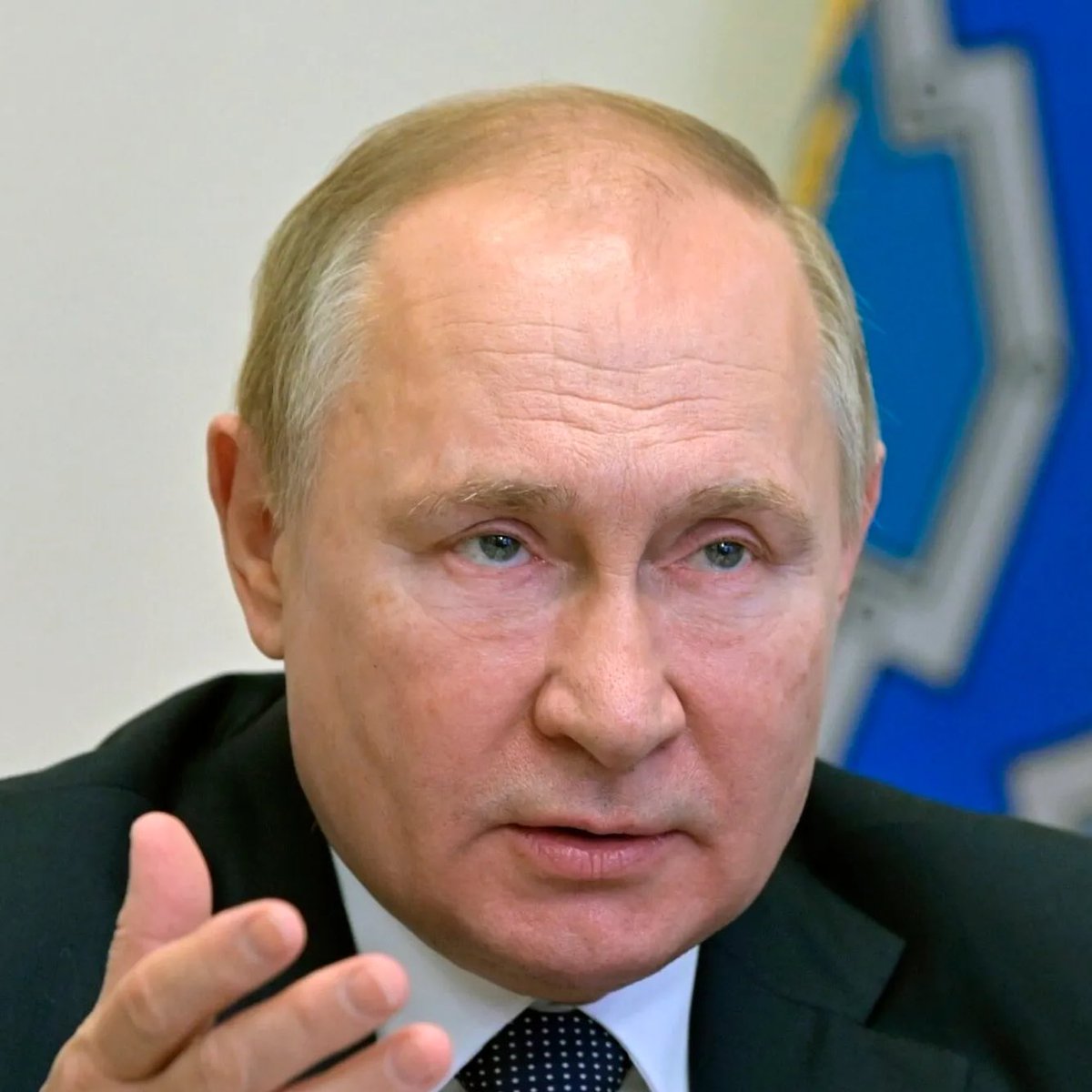 Whale Insider tweet media