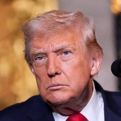 Whale Insider tweet media