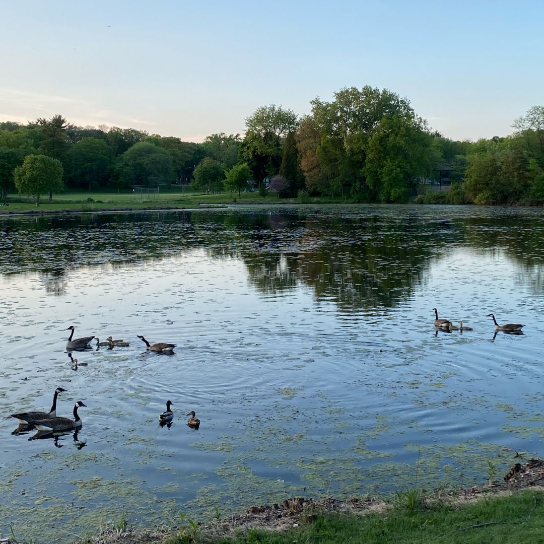 Education Analytics tweet media