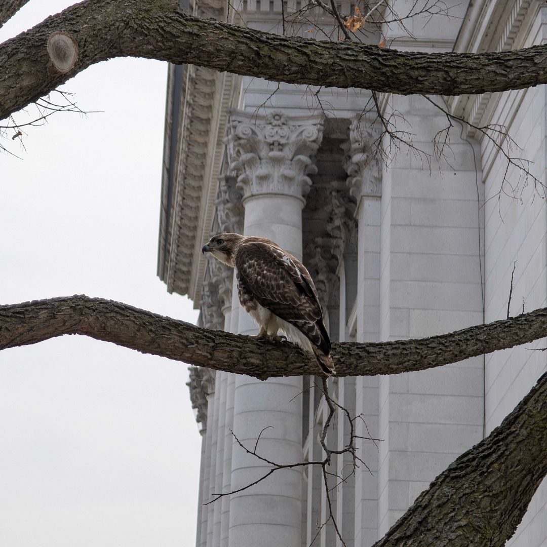 Education Analytics tweet media