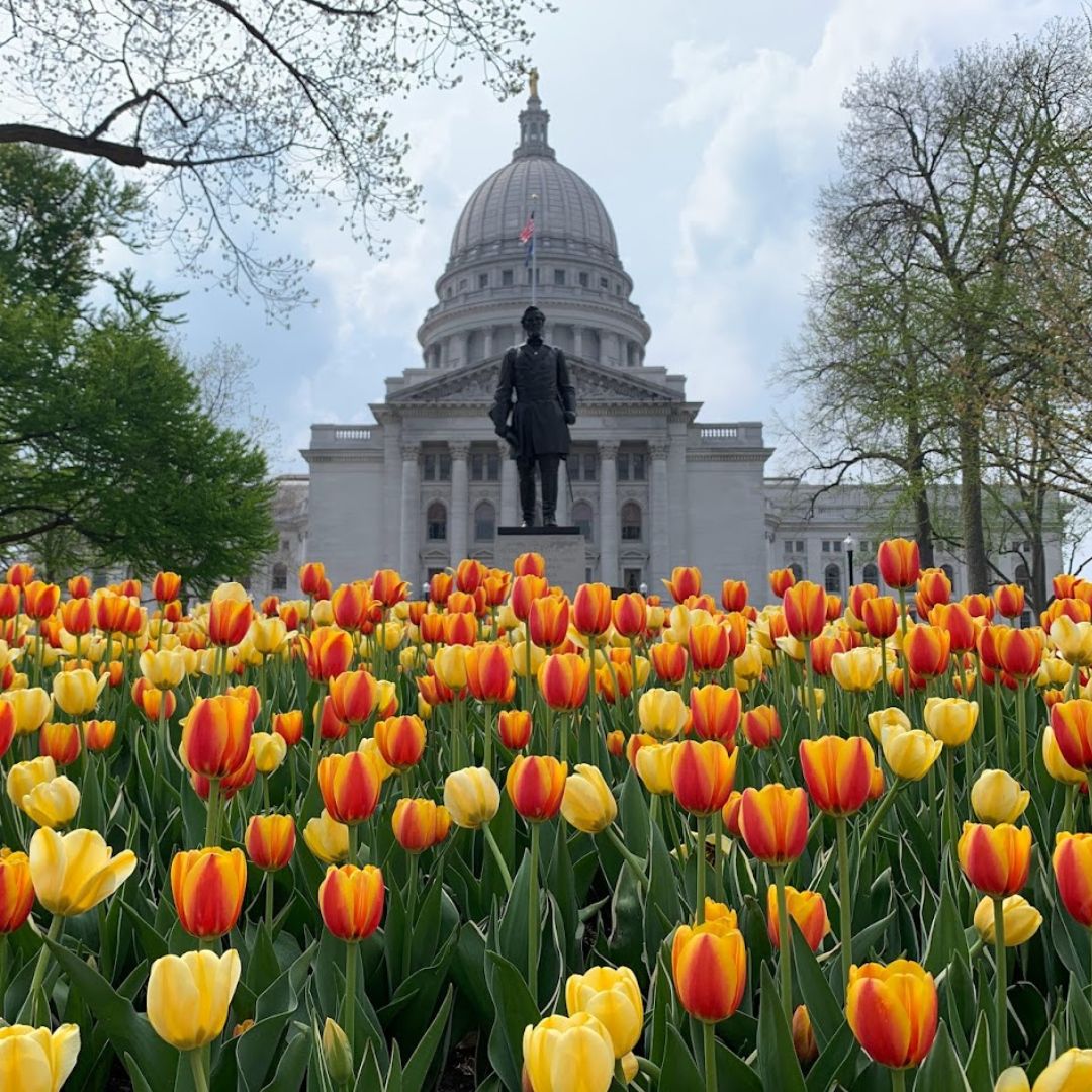 Education Analytics tweet media