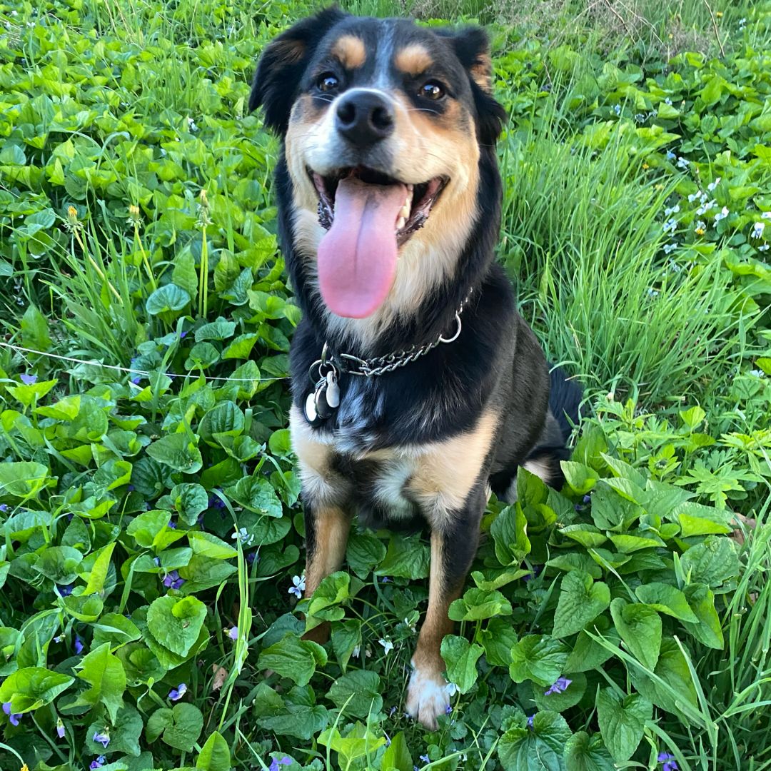 Education Analytics tweet media