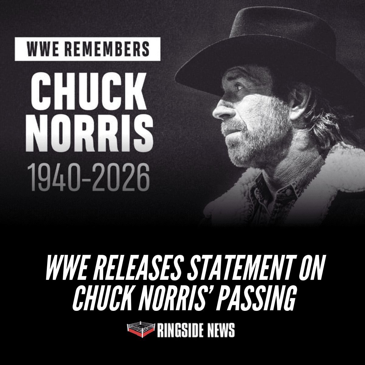 PWStream tweet media