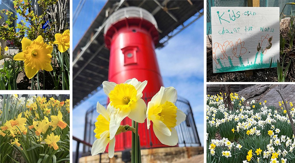 New Yorkers for Parks tweet media