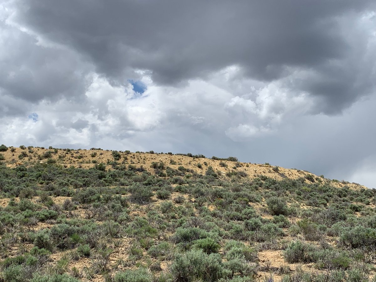 WildLands Defense tweet media