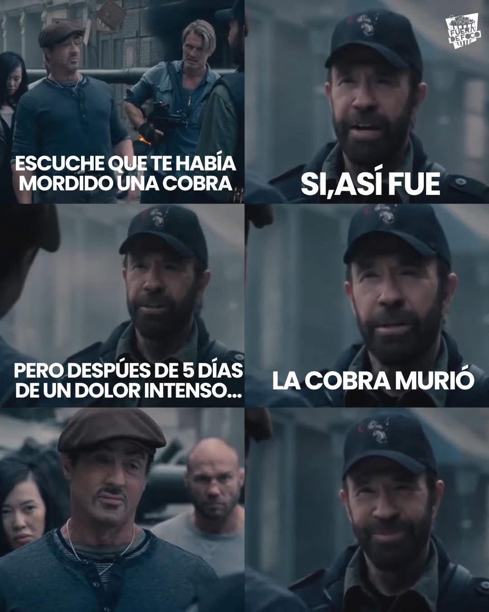 nacional_memes's tweet photo. 🐶 https://t.co/Oi6gy64I1q