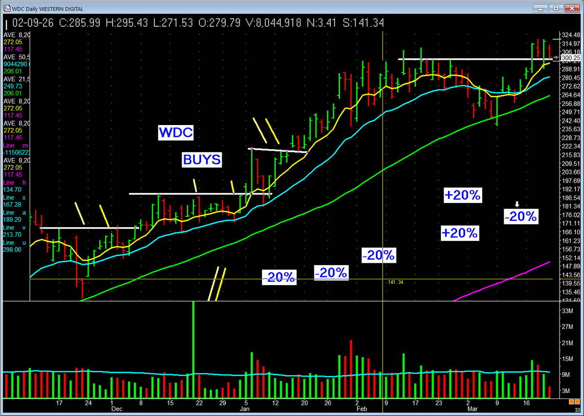 Patrick Walker tweet media