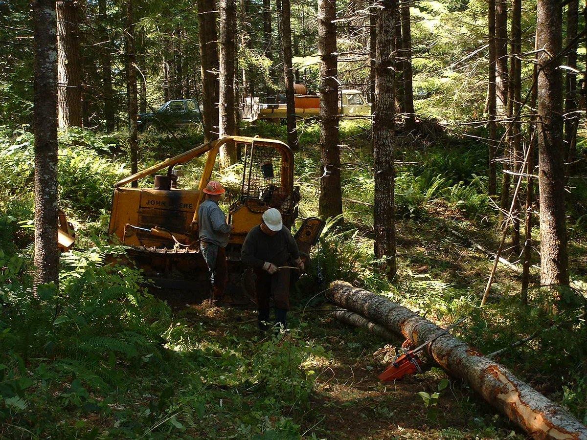 Pacific Forest Trust tweet media