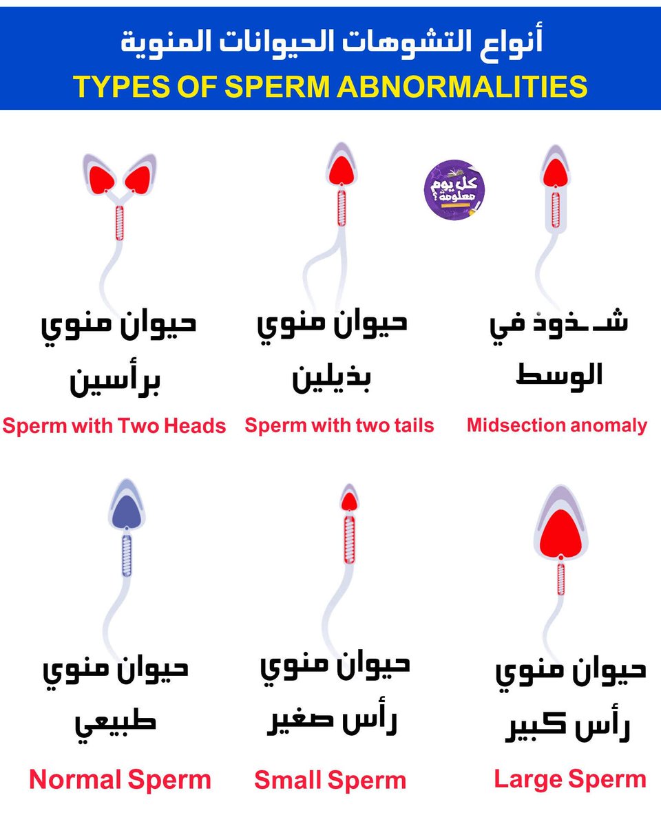 تحفيز الذات tweet media
