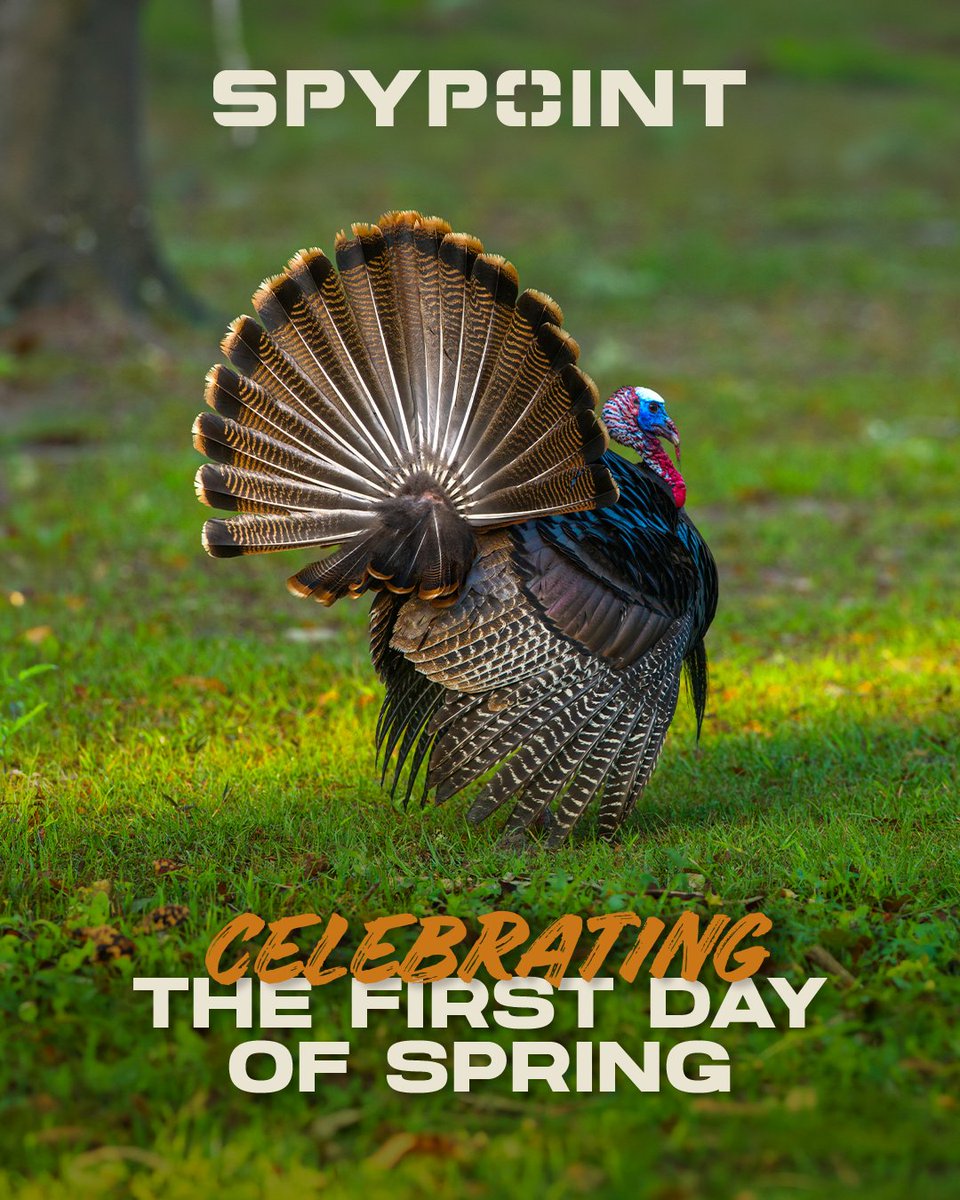 SPYPOINT Trail Cameras tweet media