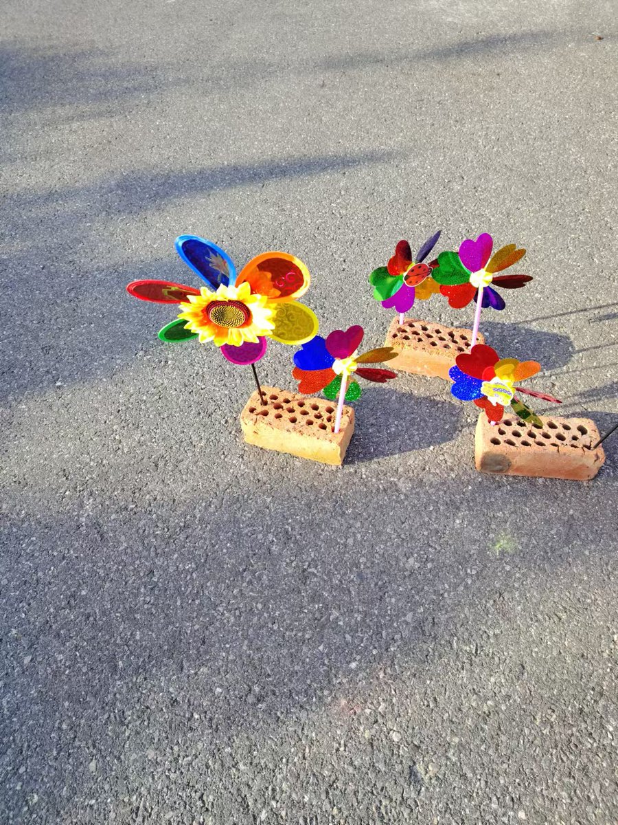 Mujtaba Shahnawaz tweet media