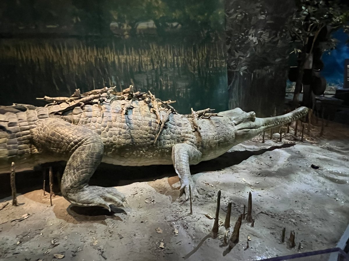 Ausarchosaur tweet media