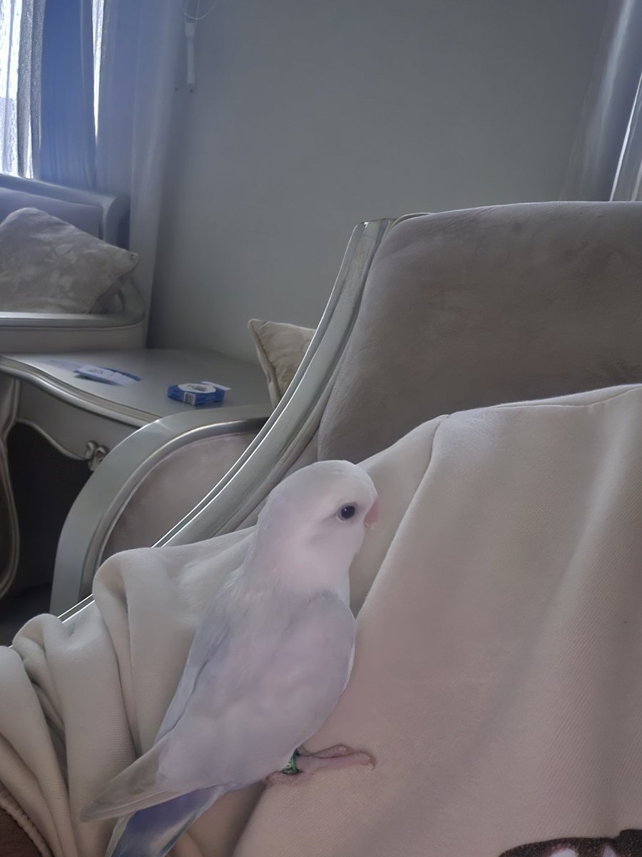 BlazerBlu tweet media