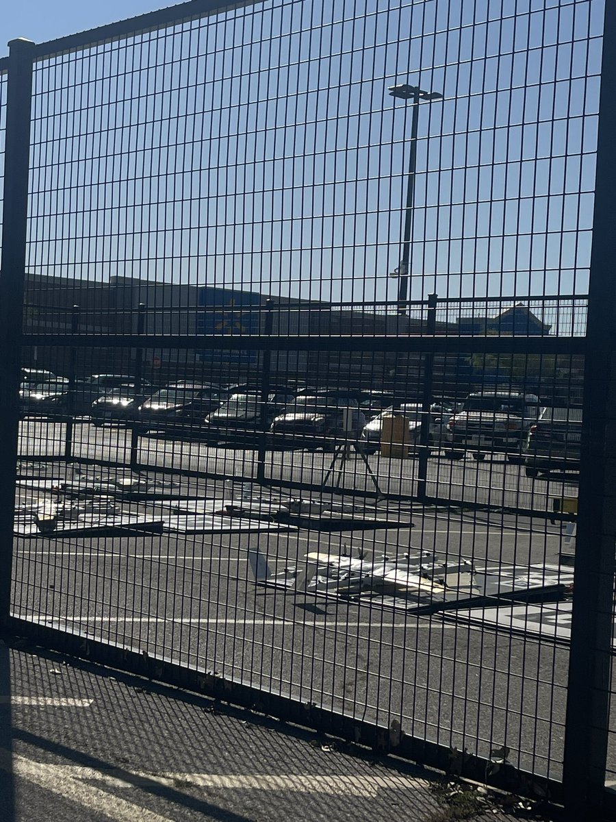 wyatt.today tweet media