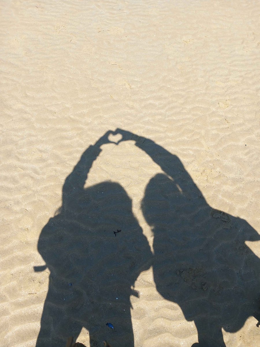 Mapleflower 🌱 COMMS OPEN tweet media